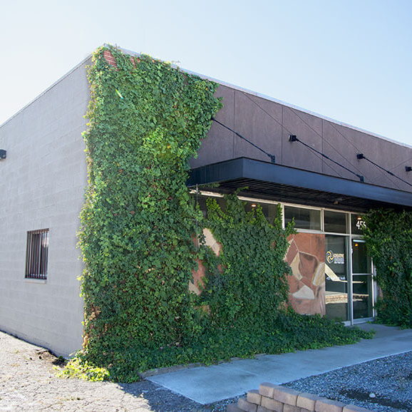 plants.png